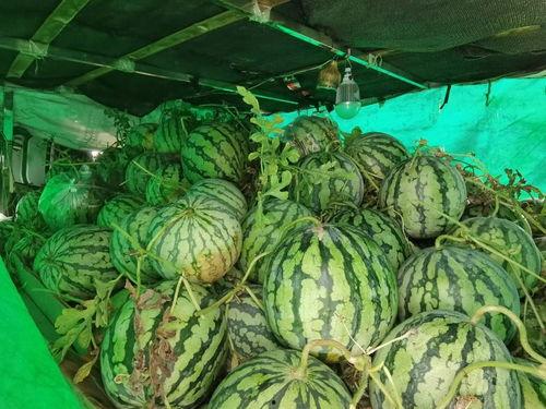 商场请你免费吃瓜,免费大餐来袭！商场请你共享夏日清凉瓜果盛宴  第3张