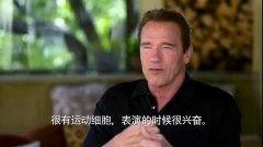 阿诺视频爆料最新官网,官网揭秘惊人内幕  第1张