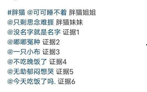 胖猫最新爆料,娱乐圈最新爆料大揭秘! 第1张 胖猫最新爆料,娱乐圈最新爆料大揭秘! 第1张