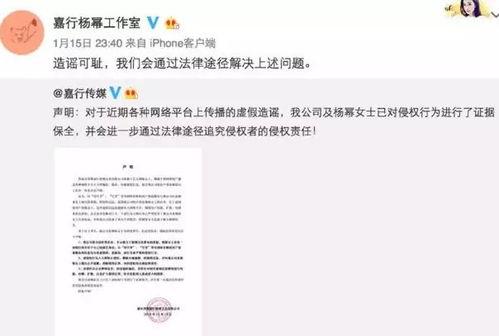 用代号爆料娱乐圈的小说,娱乐圈幕后风云录  第1张